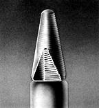 cone outer segment