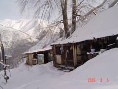 DSC01241