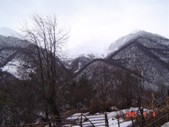 DSC01230
